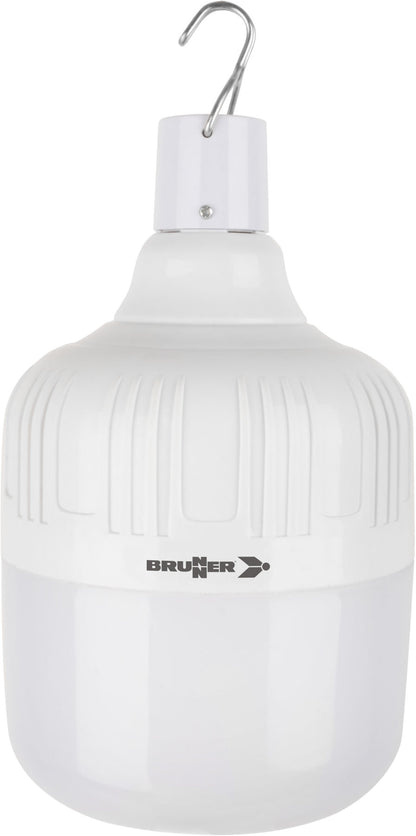 Globe Led